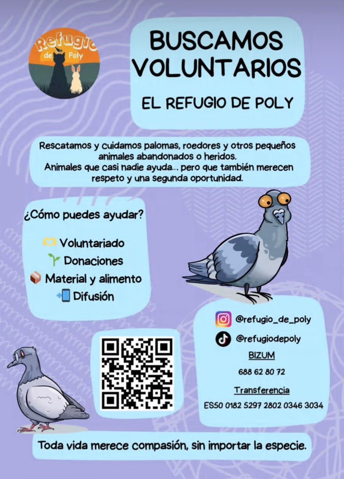 Buscamos voluntarios — El Refugio de Poly